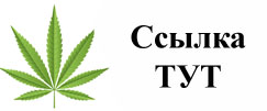 Купить наркотики в Краснозаводске